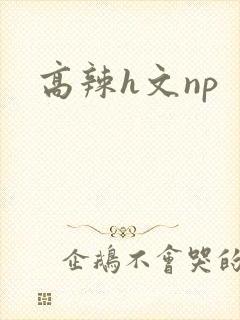 高辣h文np