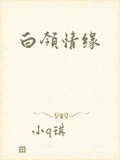 白领情缘
