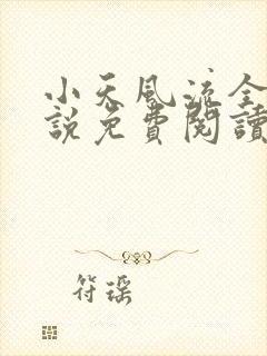 小天风流全集小说免费阅读