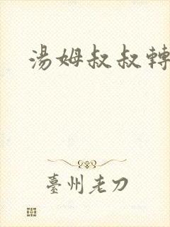 汤姆叔叔转接口