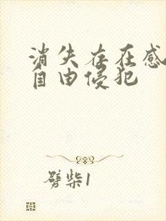 消失存在感消失自由侵犯