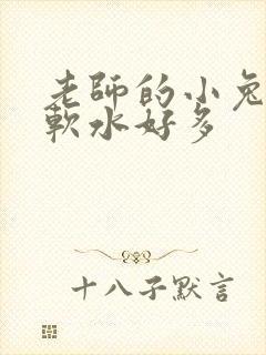 老师的小兔子好软水好多