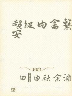 超级肉禽系统保安