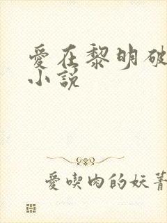 爱在黎明破晓前小说