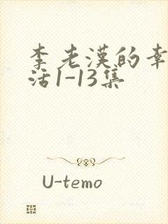 李老汉的幸福生活1-13集