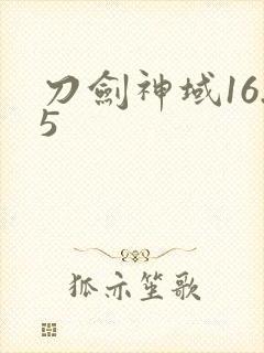 刀剑神域16.5
