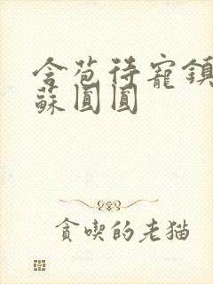 含苞待宠镇国公苏圆圆