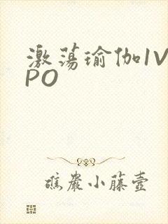激荡瑜伽1V2PO