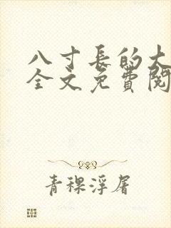 八寸长的大宝贝全文免费阅读