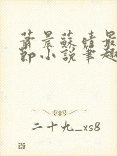 萧晨苏晴最新章节小说笔趣阁