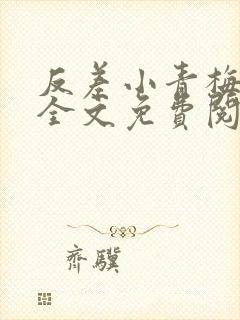 反差小青梅小说全文免费阅读