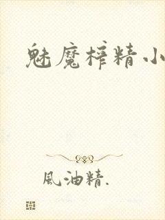 魅魔榨精小说封面