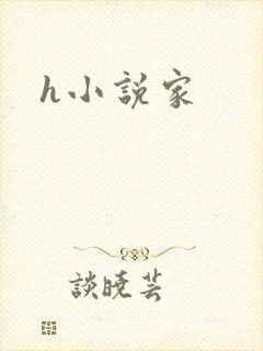 h小说家