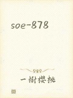 soe-878