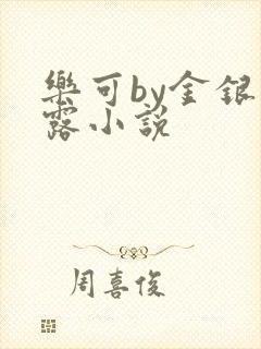 乐可by金银花露小说