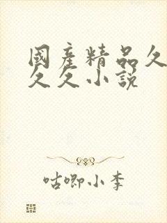 国产精品久久久久久小说