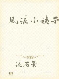 风流小姨子