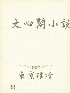 文心阁小说