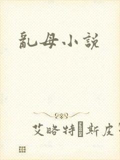 乱母小说