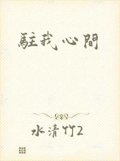 驻我心间