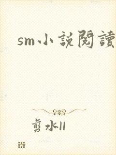sm小说阅读