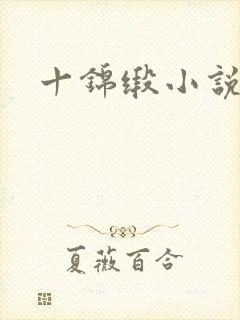 十锦缎小说