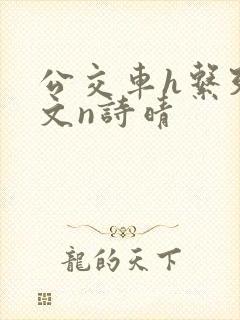 公交车h系列辣文n诗晴