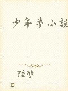 少年梦小说