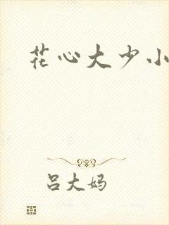 花心大少小说