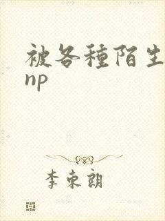 被各种陌生人 np