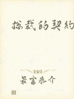 总裁的契约情人