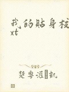 我的贴身校花txt