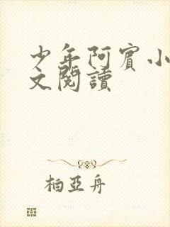 少年阿宾小说全文阅读