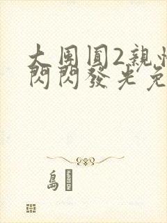 大团圆2亲情会闪闪发光免费