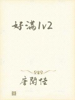好满1v2