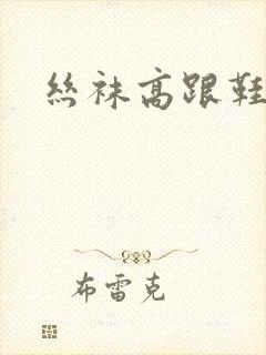 丝袜高跟鞋小说