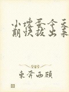 小坏蛋今天危险期快拔出来