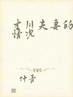 才川夫妻的恋爱情况