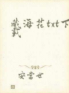 藏海花txt下载
