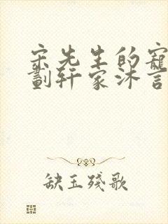 宋先生的宠妻计划轩家沐言