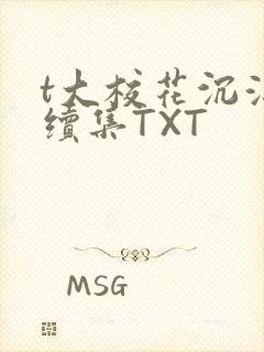 t大校花沉浮录续集TXT