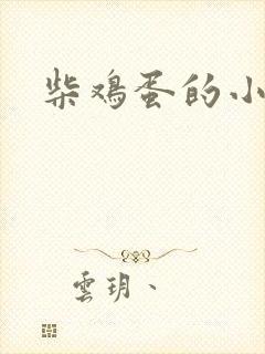 柴鸡蛋的小说