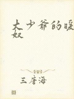 大少爷的暖床小奴