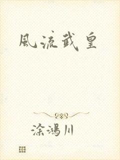 风流武皇