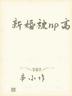 新婚被np高h