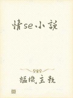 情se小说