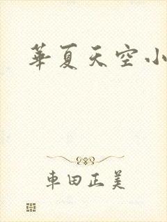 华夏天空小说网
