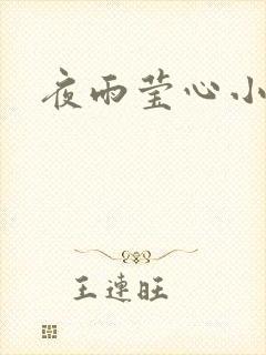 夜雨莹心小说