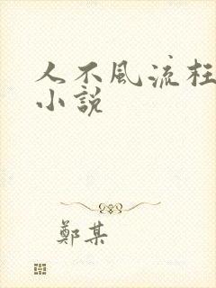 人不风流枉少年小说