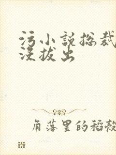 污小说总裁整夜没拔出